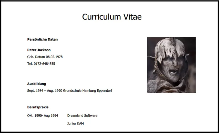 Curriculum Vitae - ein Desaster in 12 Akten