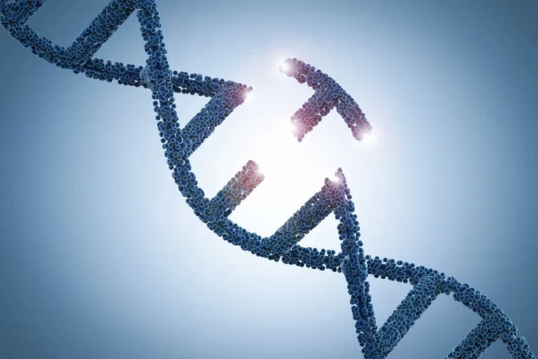 Understanding companies’ DNA